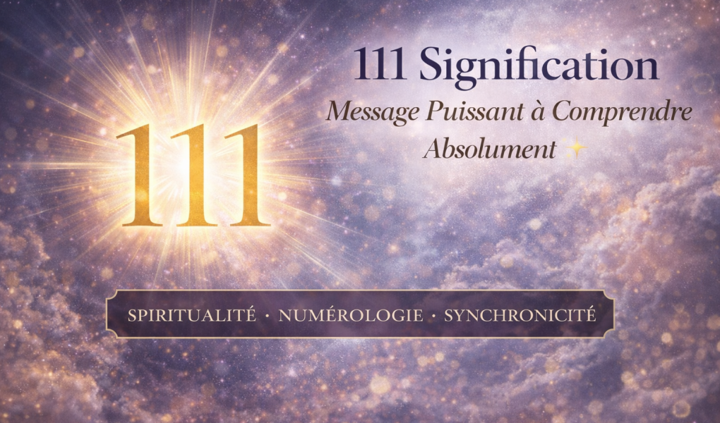signification du nombre 111