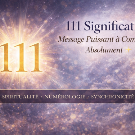 signification du nombre 111