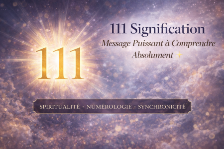 signification du nombre 111